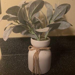 Artificial potted lamb’s ear